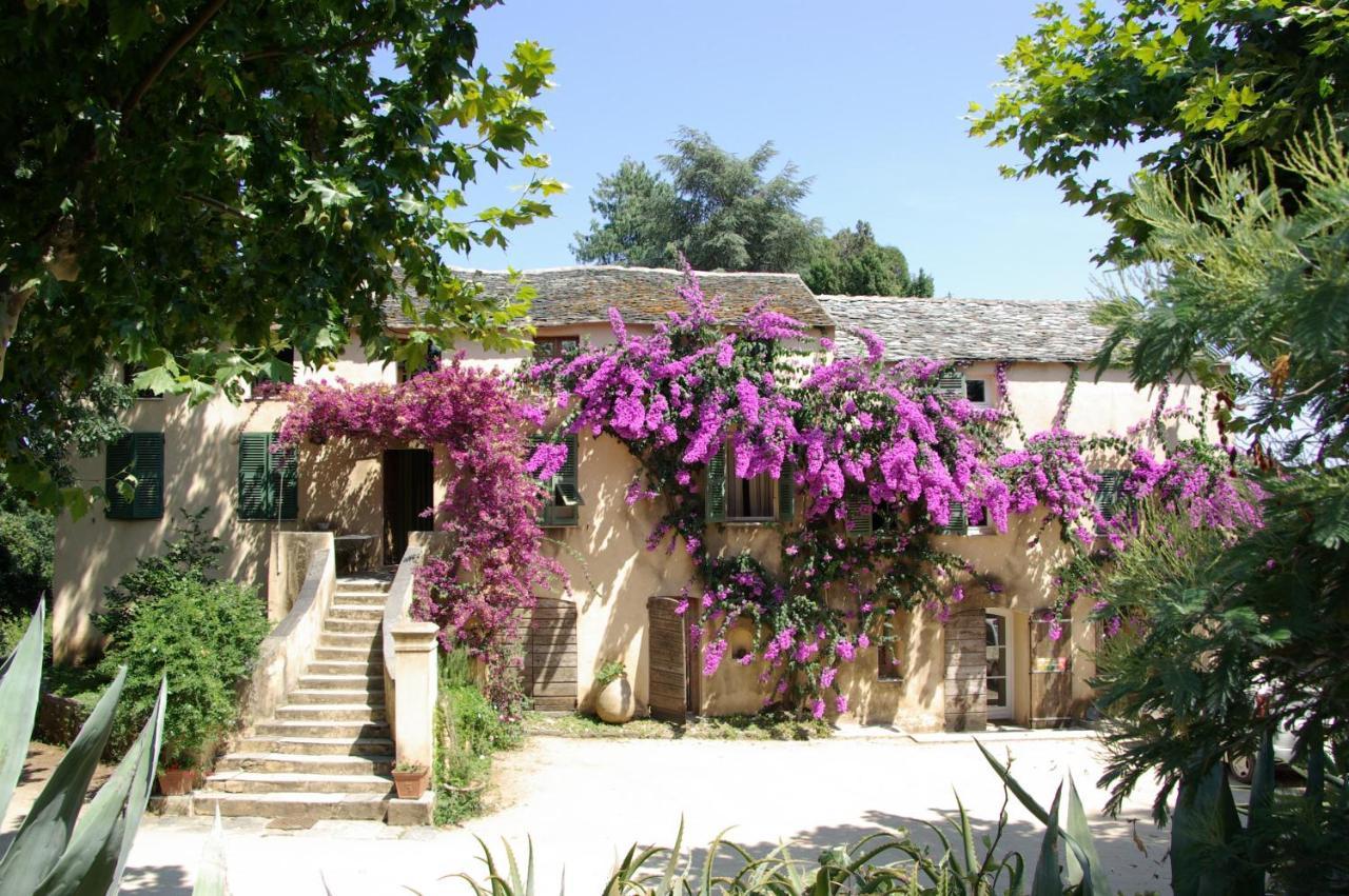 Sorbo-Ocagnano Domaine De Valle المظهر الخارجي الصورة